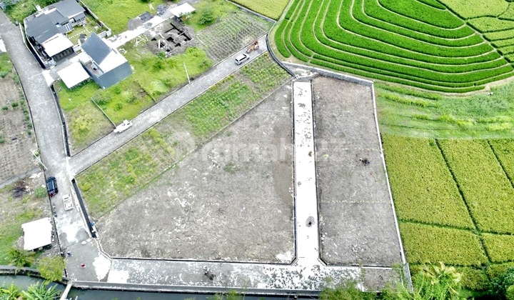 Tanah Kavling Ekslusive Harga Ekonomis View Sawah di Pantai Yeh Gangga Sudimara, Tabanan