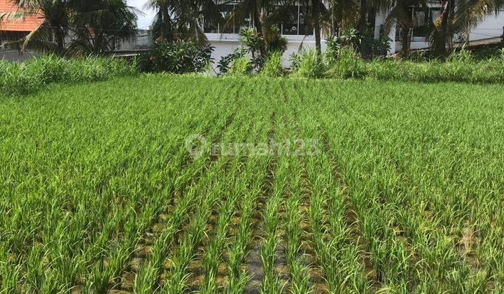 Tanah 5 Are Sudah Shm Itr Pemukiman  Sanur Denpasar  2