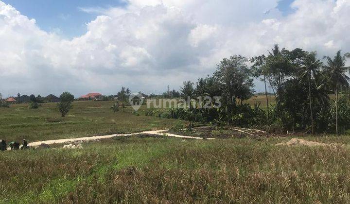 Tanah Murah Pererenan 5menit ke pantai lima   SHM 1