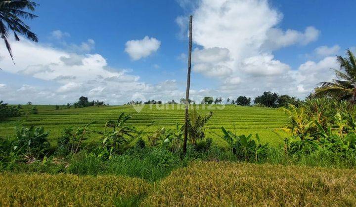 Tanah Murah Pererenan 5menit ke pantai lima   SHM 2