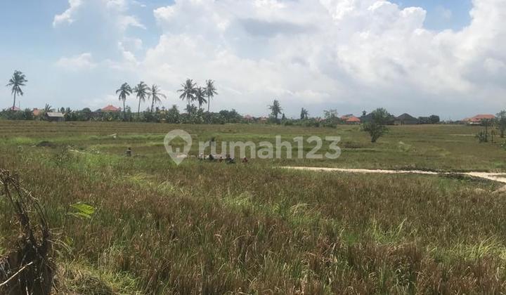 Tanah full view 1,55 are di pererenan Pantai lima 4