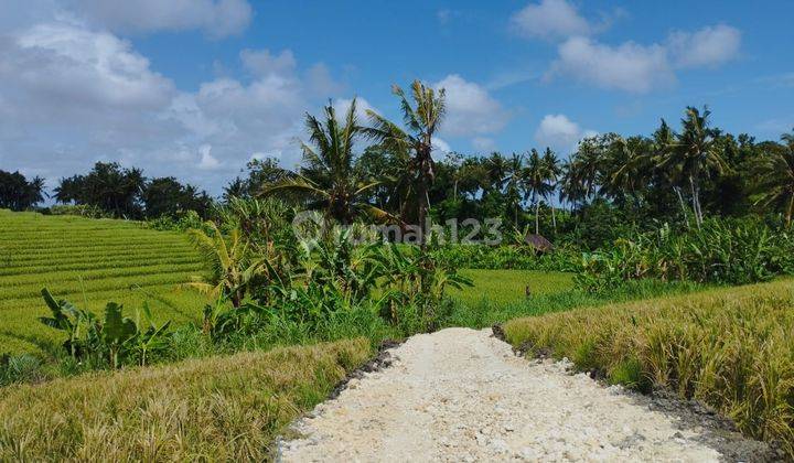 Tanah full view 1,55 are di pererenan Pantai lima 5