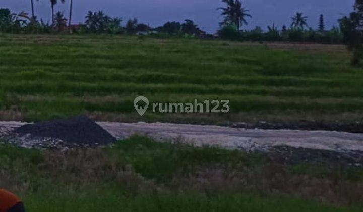 Tanah murah di canggu  Dekat pantai 3 are sudah SHM