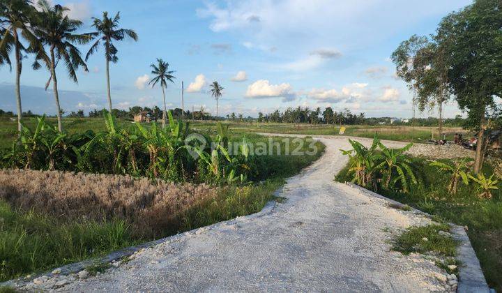 Tanah murah di canggu  Dekat pantai 3 are sudah SHM