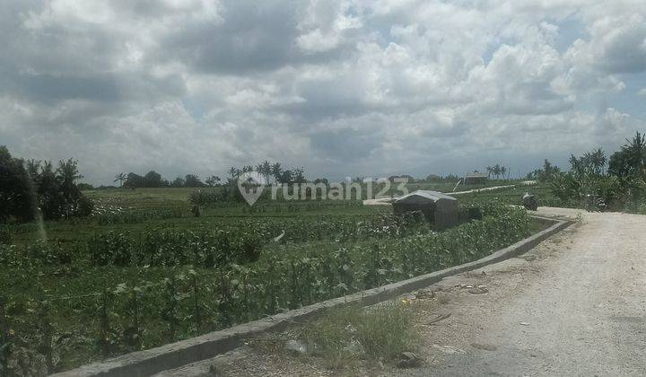 Tanah murah di canggu  Dekat pantai 3 are sudah SHM