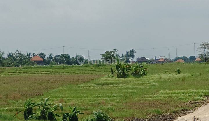 Tanah murah di canggu  Dekat pantai 3 are sudah SHM