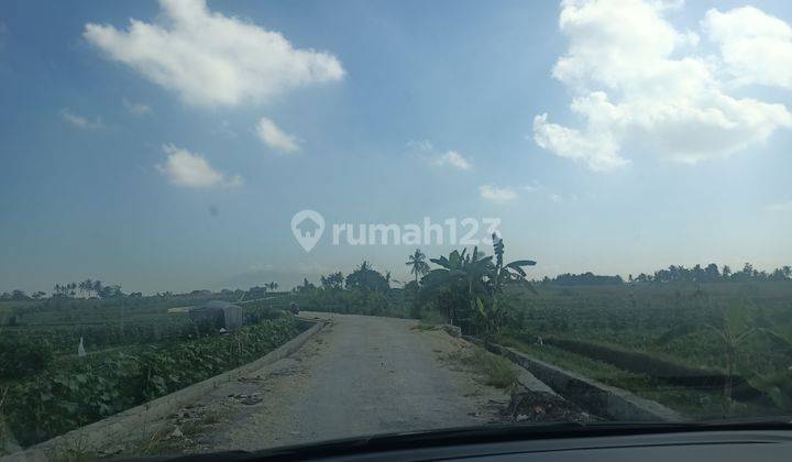 Tanah murah di canggu  Dekat pantai 3 are sudah SHM