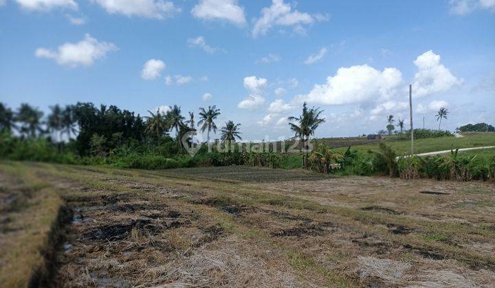 Tanah Murah Pererenan 5menit ke pantai lima   SHM 2