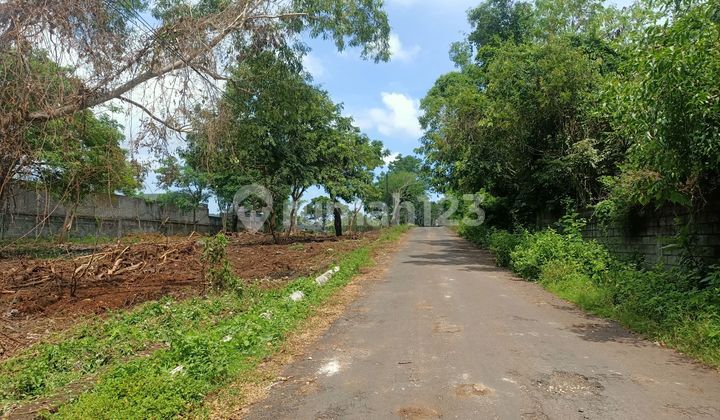 ELITE PLOT FOR SALE 3 MINUTES TO NUSA DUA BEACH ELITE PLOT FOR SALE 3 MINUTES TO NUSA DUA BEACH