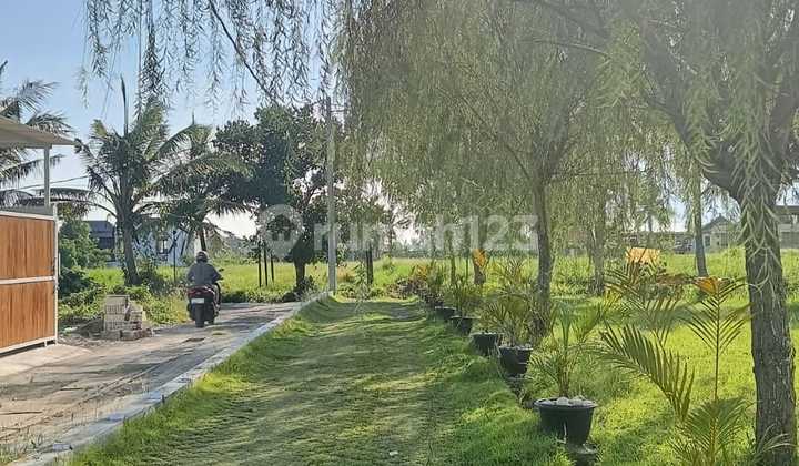 Tanah Kavling Di Ubud View Sawah Lingkungan Villa Bali Tanah Kavling Di Ubud View Sawah Lingkungan Villa Bali