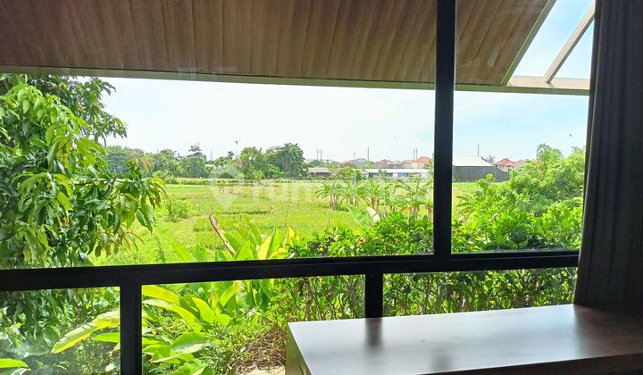  Villa Tropical View Sawah Furnished Di Sanur Dekat Pantai