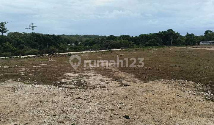 Tanah Langka Ocean View Di Bingin Dekat Pantai Bingin Uluwatu Tanah Langka Ocean View Di Bingin Dekat Pantai Bingin Uluwatu