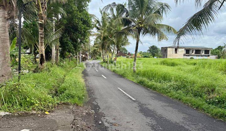 Tanah Kavling Bentuk Ngantong Pinggir Jalan Di Ubud
