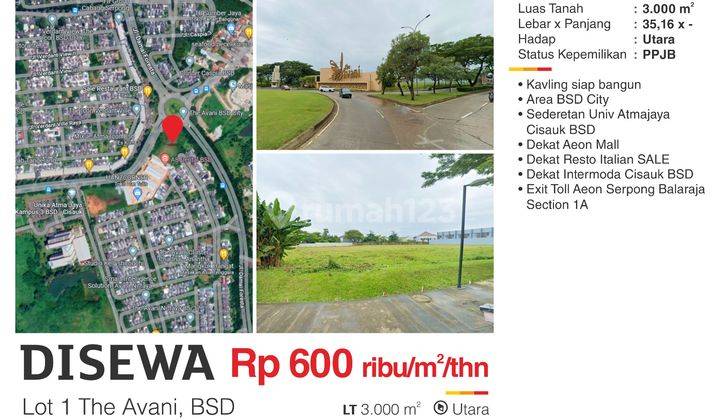 Disewa Kavling Komersial Bsd City Avani Luasan 3000 M2 Harga Sewa 400 Ribu M Exclude Ppn, Exclude Pph Nego Sd Deal Peruntukan Office,f B 1