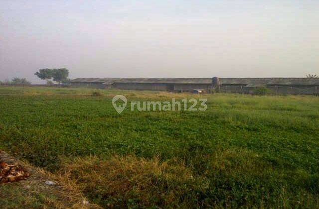 Lahan Kosong terawat di klebet kemiri 2