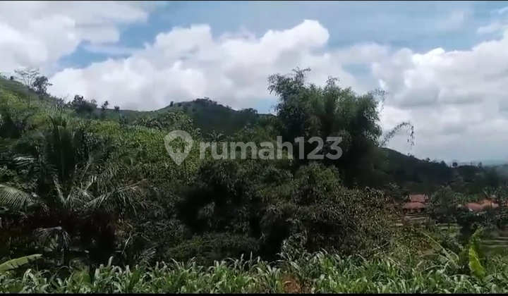 For Sale Cheap Price 216 Ha. Industrial Zone Land in Subang, West Java