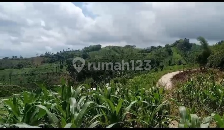 Cheap Land for Sale 200 Thousand/Mtr Strategic Location Behind KBP