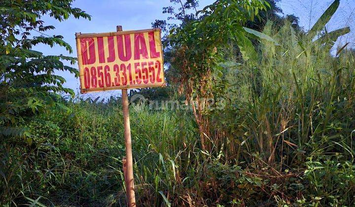 Di Jual Tanah Murah Di Ry. Randegansari, 200m² Dr Ry. Menganti 2