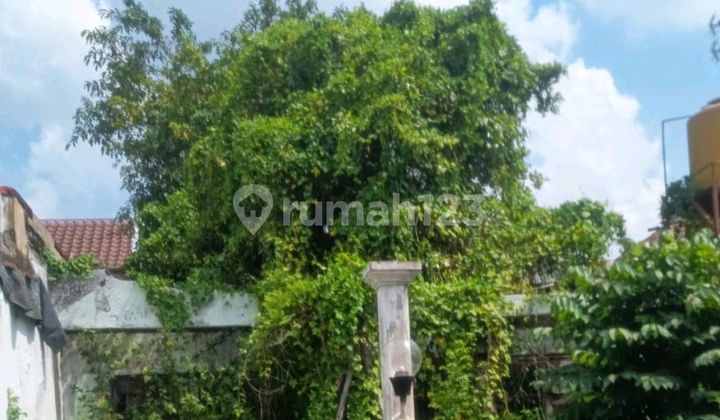 Cheap Sale Land-Based House in Nirwana Executive Block Dd 1