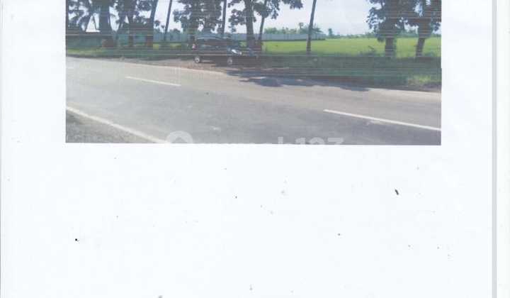 Dijual Cepat Tanah di Paiton Probolinggo Dijual Cepat Tanah di Paiton Probolinggo