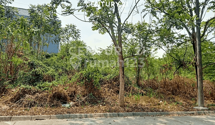 Tanah Strategis di Jl Gunung Sinabung Simpruk Lippo Cikarang Tanah Strategis di Jl Gunung Sinabung Simpruk Lippo Cikarang