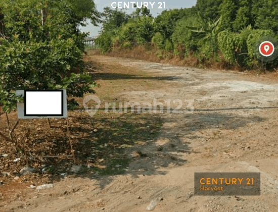 Dijual Cepat Tanah Strategis Siap Dibangun di Purwakarta