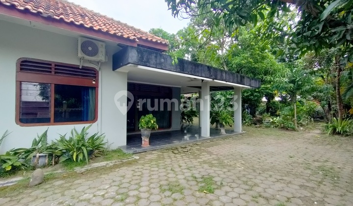 Rumah Lama Halaman Luas Area Kota Solo 2