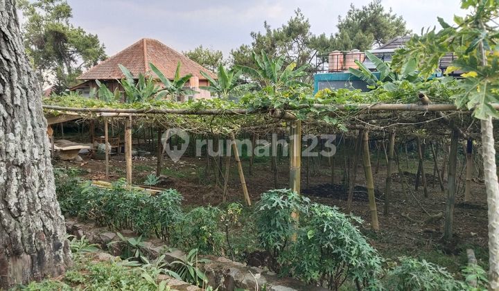 Di Jual Kavling Siap Bangun Di Cihanjuang