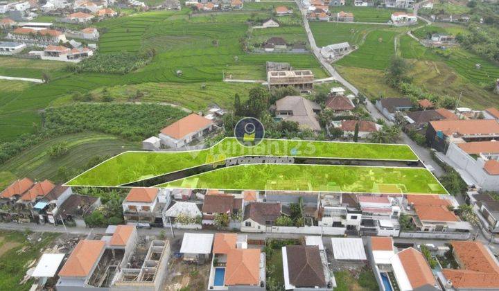 Dijual Cepat Tanah Kavling Lokasi Canggu - Kulibul 2