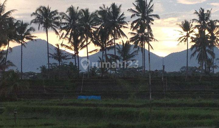 Murah Dikawasannya, Lokasi Tanah Exclusive Di Kawasan Ubud Tegalalang 2