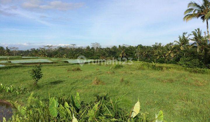 Cheap in the area, exclusive land location in the Ubud Tegalalang area 2