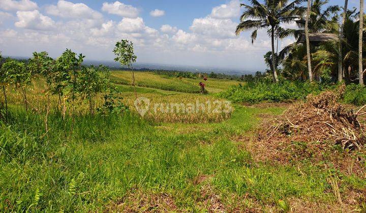 For sale in prime location with views of the rice fields of Mount Salak, Tabanan 2