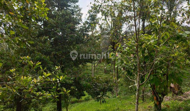 Land for sale in exclusive location with waterfall views 2