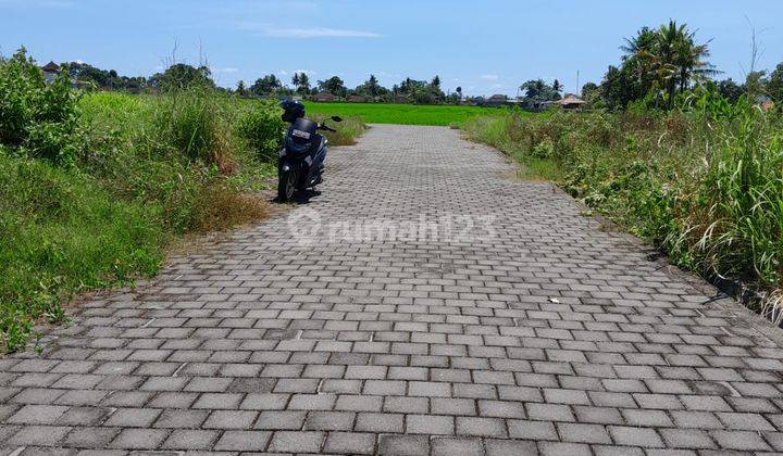 Tanah di Kawasan Komplek Villa Kedungu Tabanan Bali 2