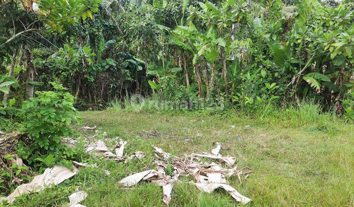 Tanah Kosong Terletak di Area Pantai Nyanyi Cocok Untuk Villa 1