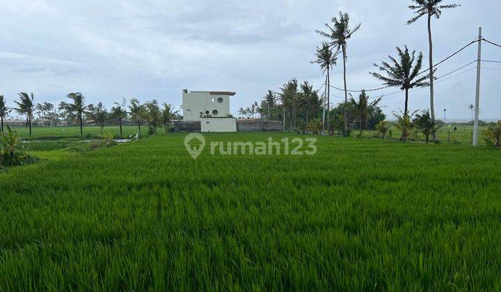 For rent a very exclusive plot of land with views of rice fields and beaches 1