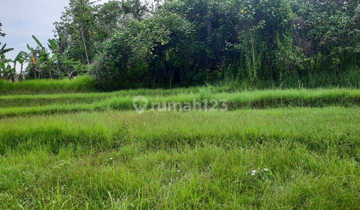 Dijual Sebidang Tanah Kosong Terletak di Area Pantai Nyanyi, Lokasi Yang Sangat Eksotis Berada di Area Villa Komersil 1