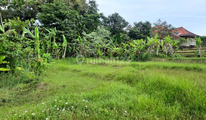 Dijual Sebidang Tanah Kosong Terletak di Area Pantai Nyanyi, Lokasi Yang Sangat Eksotis Berada di Area Villa Komersil 2