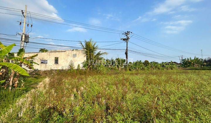 Di Jual Tanah Dengan View Istimewa Sawah Dan Gunung Lokasi Nyanyi Banjar Pasti 2