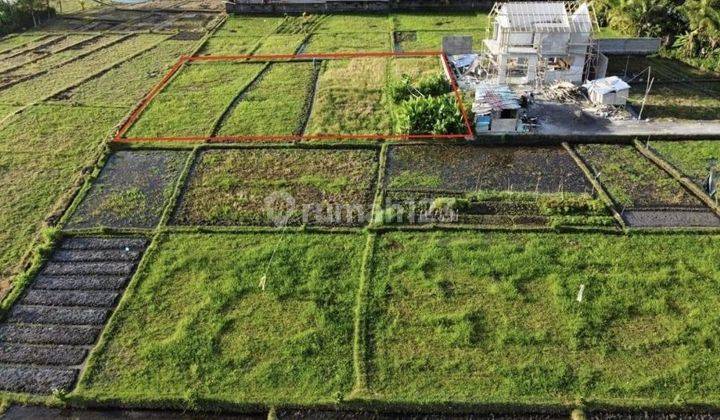 Dijual Sebidang Tanah Kosong View Sawah Yang Berlokasi Pantai Nyanyi Beraban Tabanan Bali Indonesia 2