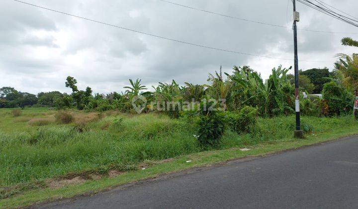 Available Land Main Road For Leasehold Kedungu, Belalang, Kediri 1