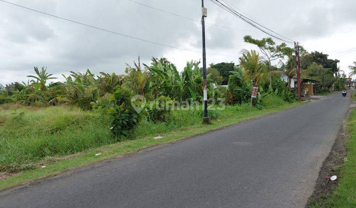 Available Land Main Road For Leasehold Kedungu, Belalang, Kediri 2