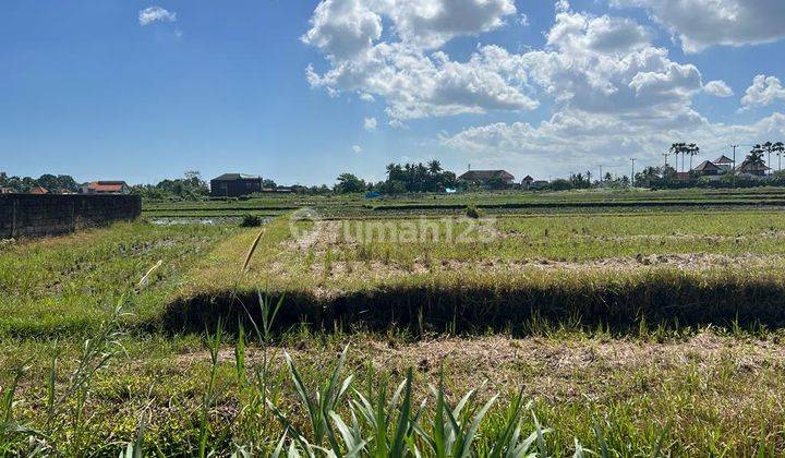 For rent a plot of empty land located on Jalan Pantai Kedungu 2