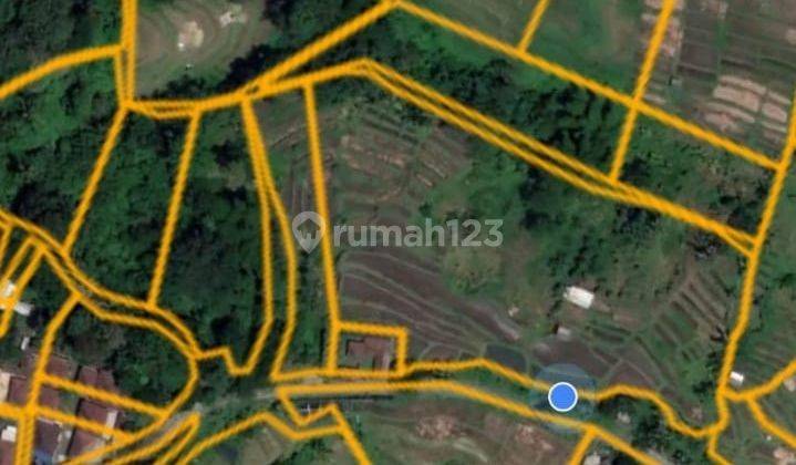 Dijual Tanah Berada Dikawasan Belulang Desa Mengesta Penebel Tabanan Bali 2