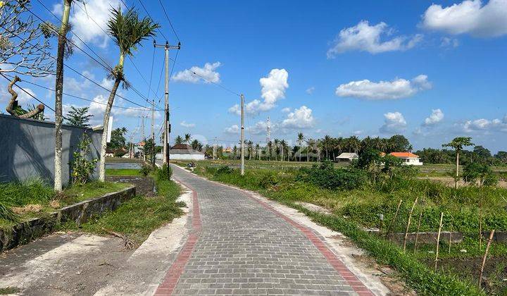 Disewakan Tanah Kosong Sangat Eksotis Dengan View Sawah 1