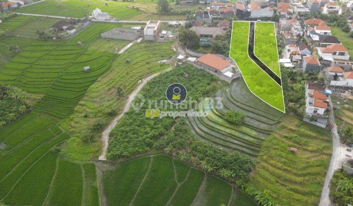 Dijual Cepat Tanah Kavling Lokasi Canggu - Kulibul 2