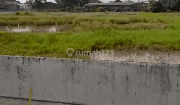 Di Jual 2 Lahan Bidang Tanah Pergudangan 19 Kalibaru Sungai Turi 1