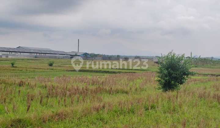 Tanah Zona Industri Padaasih Subang Jawa Barat