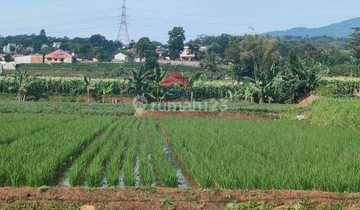 Tanah Subur Cimaung Soreang Banjaran Kabupaten Bandung 1