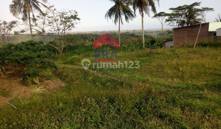 Tanah Dan Perkebunan Pinggir Pantai Agra Bintana Cianjur Selatan 2